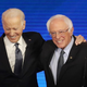 Image for article titled Bernie Sanders Wants You to Hold Your Nose and Vote for Biden